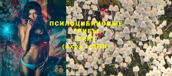 гидропоника Балахна
