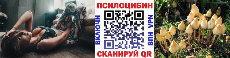 mega tor  Кохма  Галлюциногенные грибы GOLDEN TEACHER 